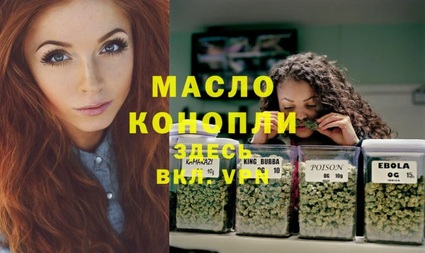 меф Дмитриев