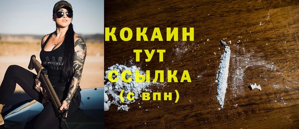 меф Дмитриев