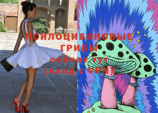 меф Дмитриев