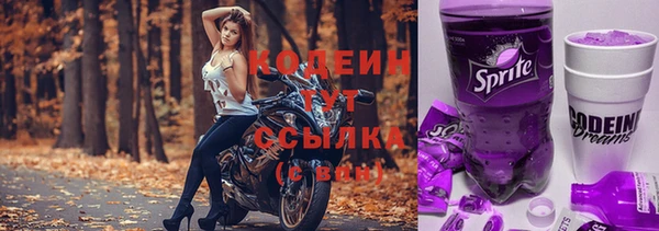дживик Дмитров