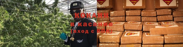 дживик Дмитров