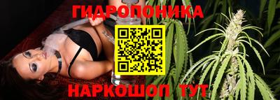 Альфа ПВП Заводоуковск
