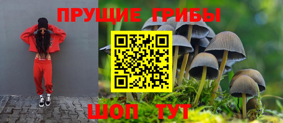 Псилоцибиновые грибы прущие грибы Зеленодольск