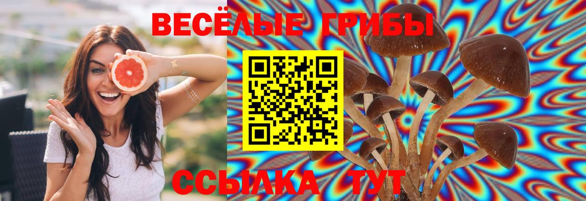 Псилоцибиновые грибы мухоморы  Вход с VPN  Псилоцибиновые грибы мухоморы  Зеленодольск 
